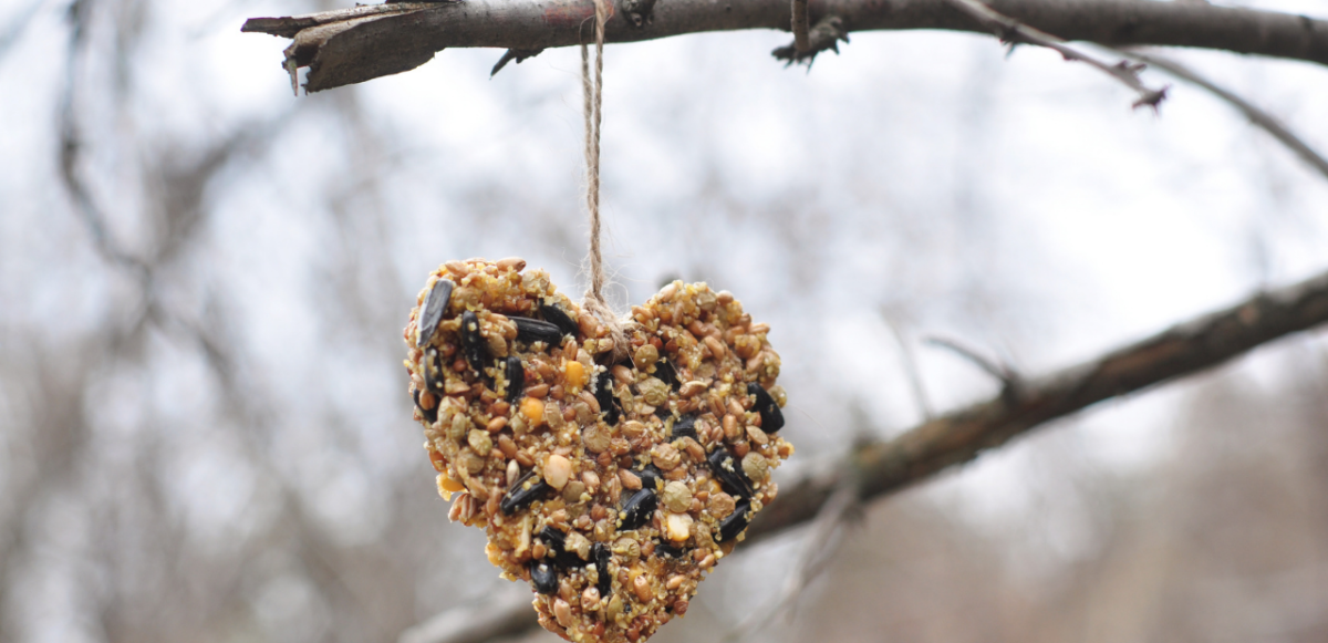 Heart shaped home made bird feeder