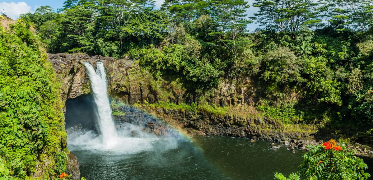 Waterfall near Hilo