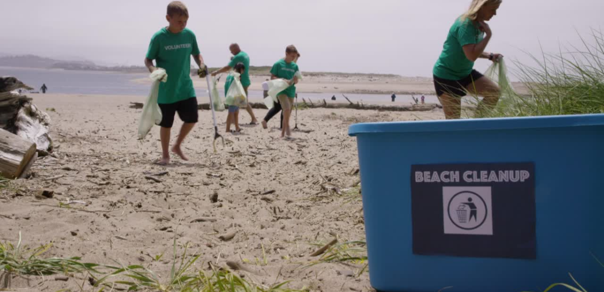 volunteers performing beach cleanup