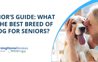 "Senior's Guide: What is the Best Breed of Dog for Seniors?" text over image of senior citizen hugging dog