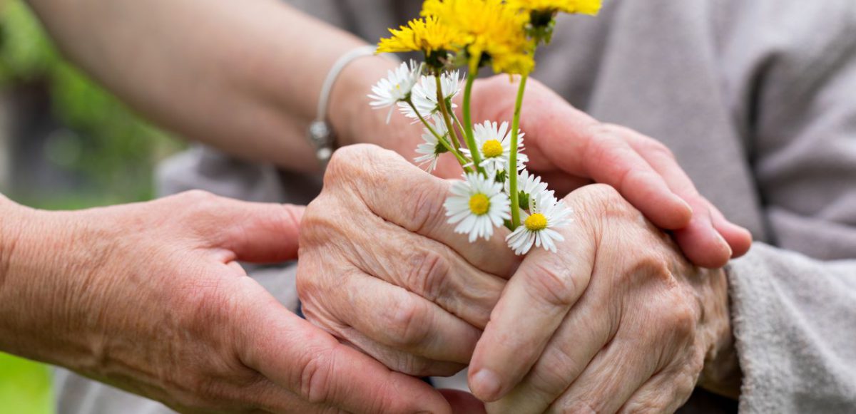 Younger pair of hands helping senior hold flowers.