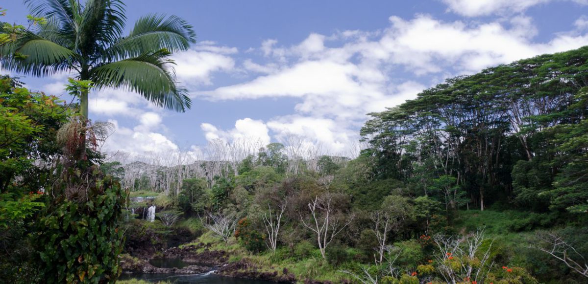 Iao Valley in Maui