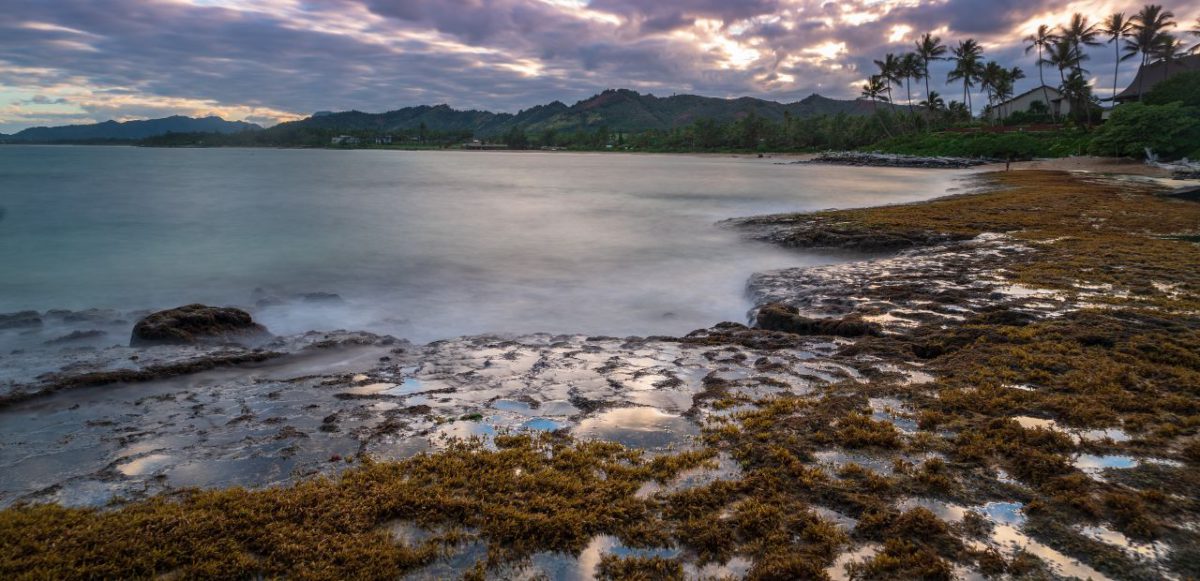 Shore of Old Kapa'a Town